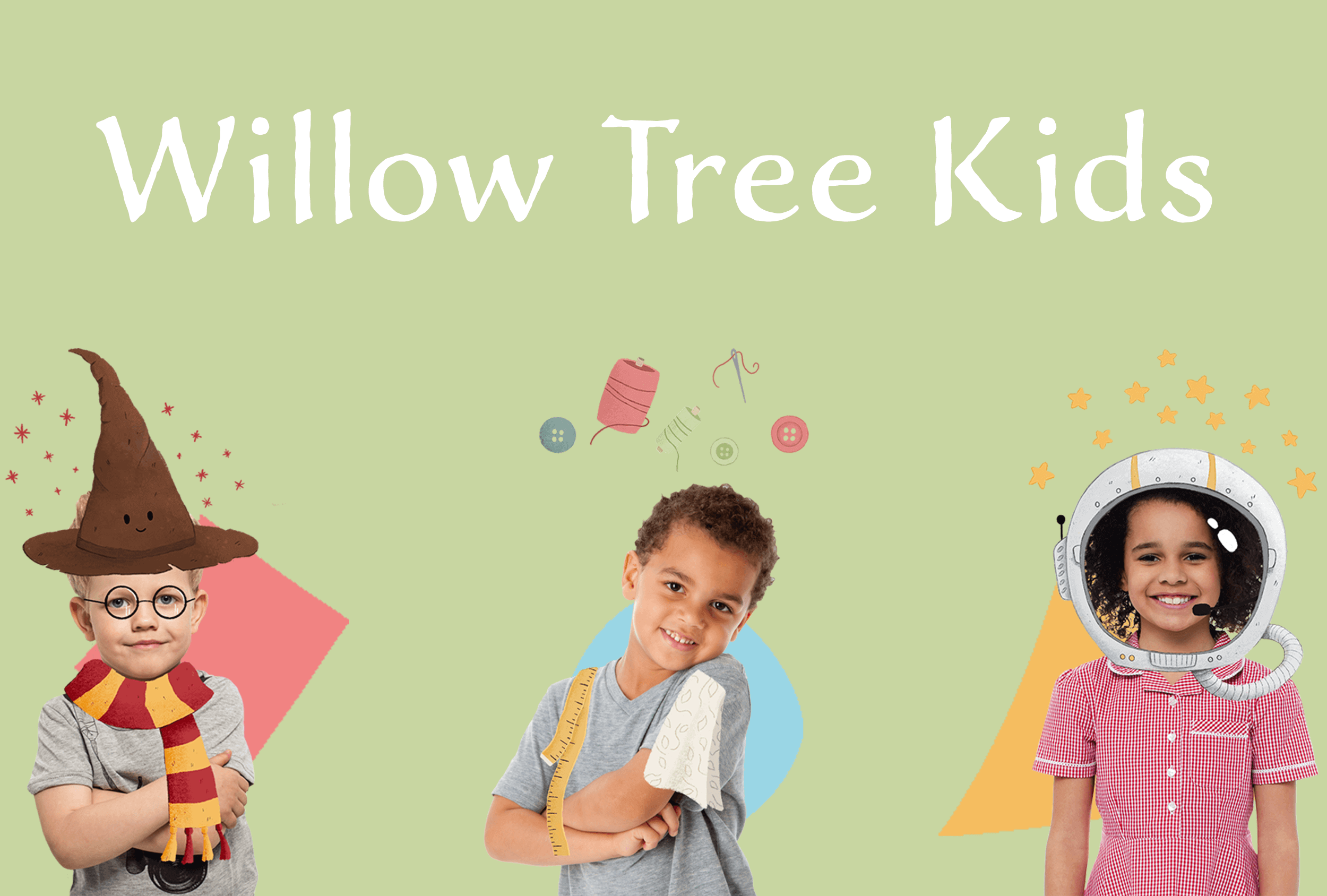 Silver willow tree 